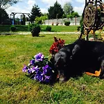 Florentyna Szklarska Poreba-wojcieszyce Wojcieszyce