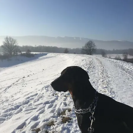 Florentyna Szklarska Poreba-wojcieszyce