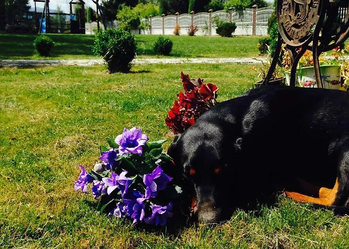 Florentyna Szklarska Poreba-wojcieszyce Wojcieszyce